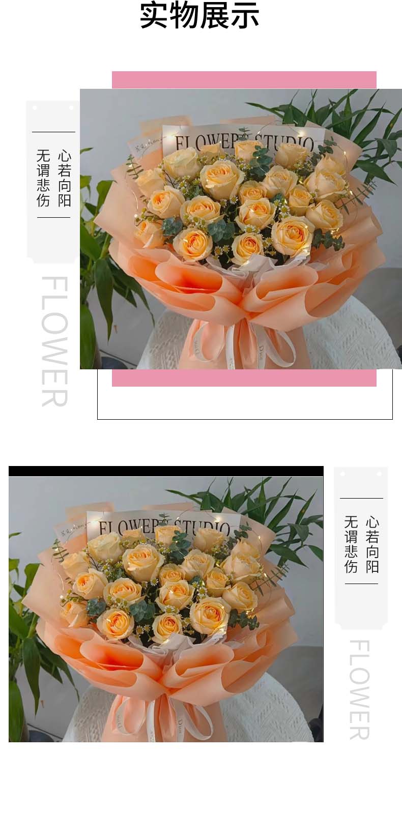 青春之歌.jpg